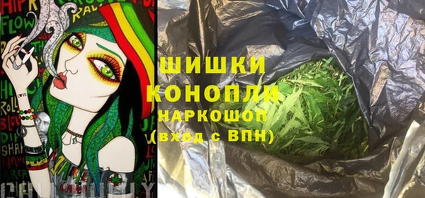 стафф Алзамай