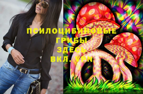 стафф Алзамай