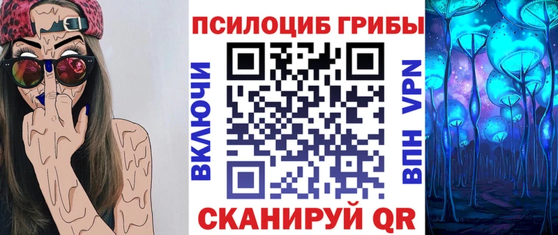 даркнет официальный сайт купить сайты Кудрово Псилоцибиновые грибы Psilocybine cubensis
