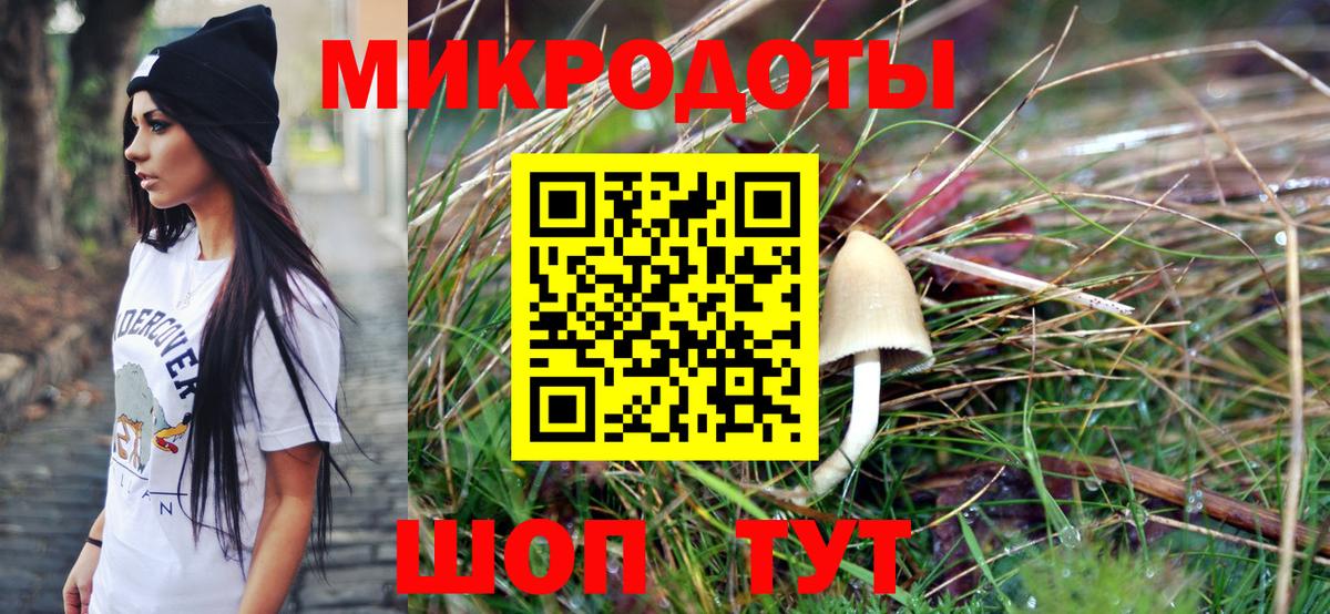 Галлюциногенные грибы Cubensis Кудрово