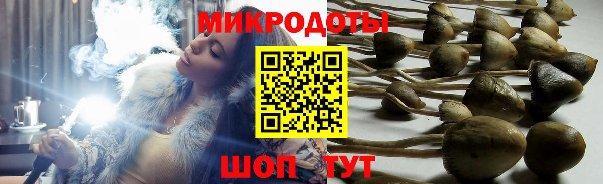 Кудрово  Псилоцибиновые грибы ЛСД  Вход с VPN 