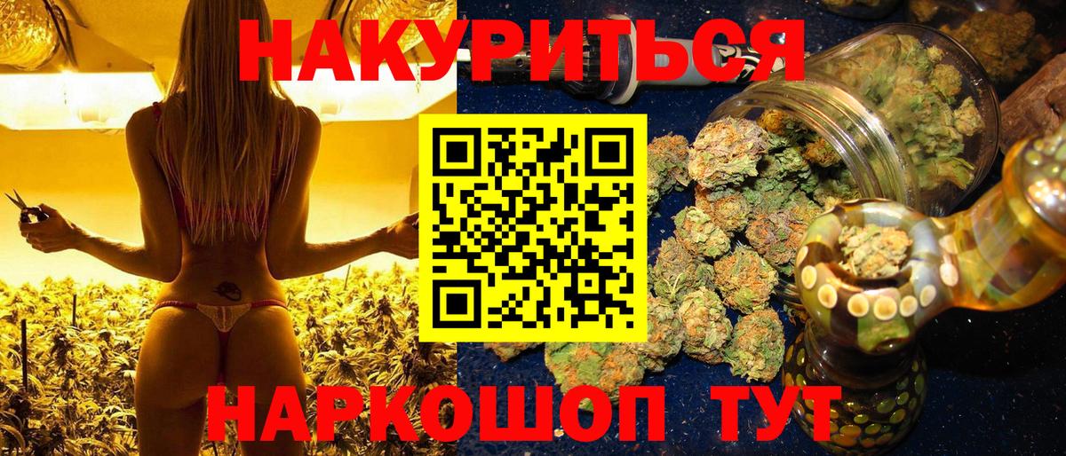 Канабис OG Kush Кудрово